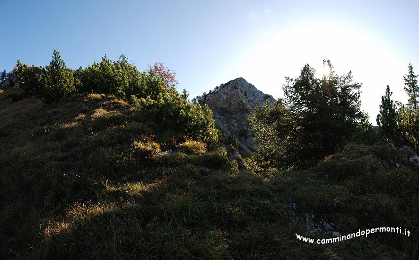 09 11560 Pizzo Badile.jpg